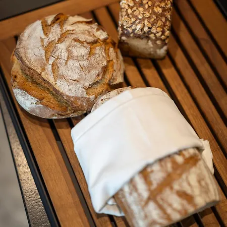 Arcotel Tabakfabrik 酒店 林茨